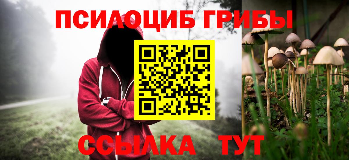 Кириши  Галлюциногенные грибы MAGIC MUSHROOMS  Вход с VPN 