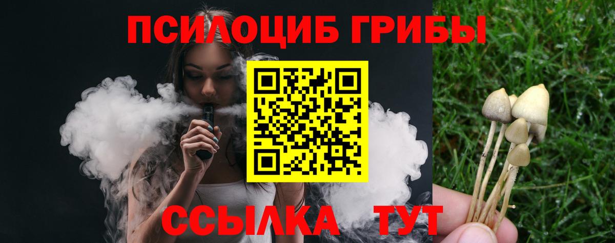 Галлюциногенные грибы мицелий Кириши