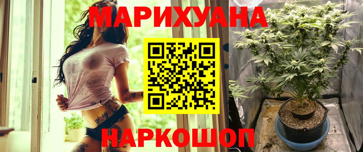 Шишки марихуана гибрид Кириши